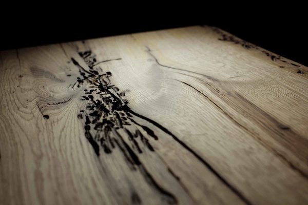 primo piano delle venature e dei fori caratteristici del legno di briccole veneziane