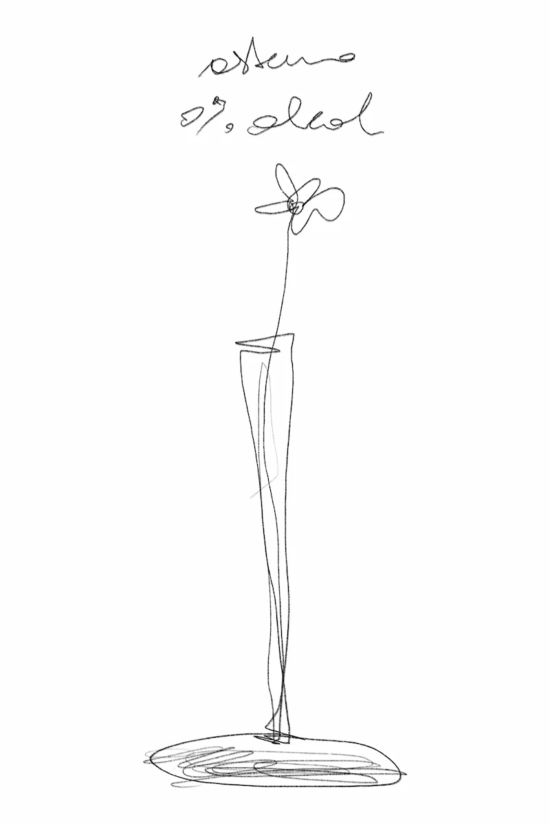 schizzo a tratto nero di un fiore stilizzato dentro un vaso